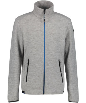Light Grey-swatch