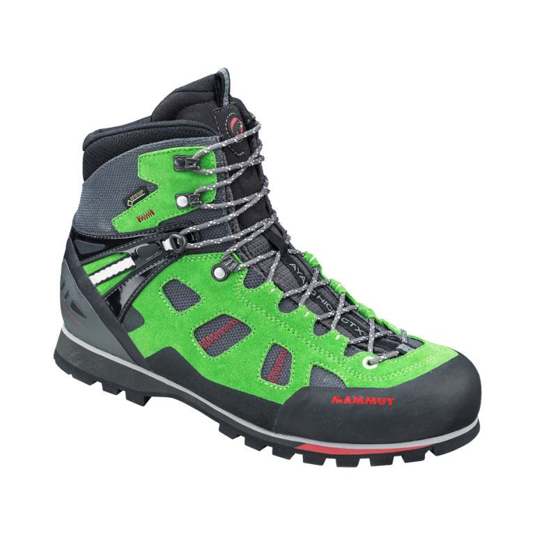 Mammut Ayako High GTX Men